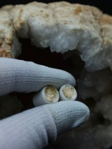 Plugs goldnugget 12mm