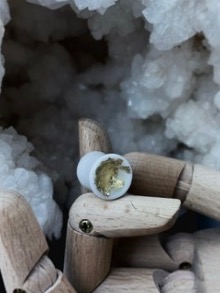 Plugs goldnugget 14 mm